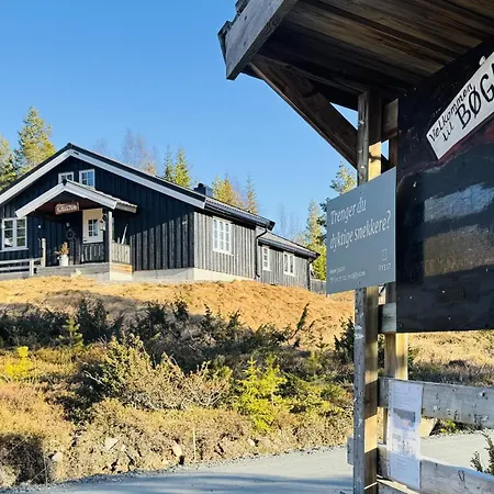 Holiday home Newly Renovated In Nesfjellet, Nesbyen