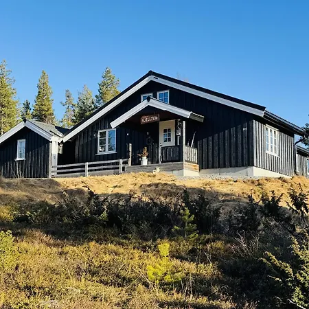Newly Renovated In Nesfjellet,