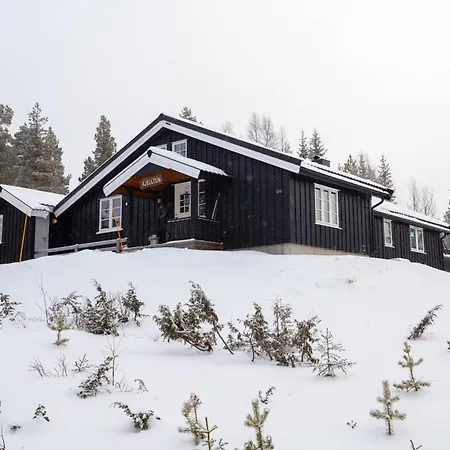 Newly Renovated In Nesfjellet, Nesbyen