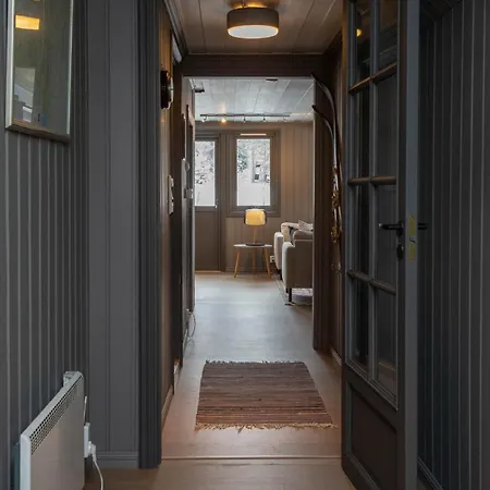Newly Renovated In Nesfjellet, נסביין