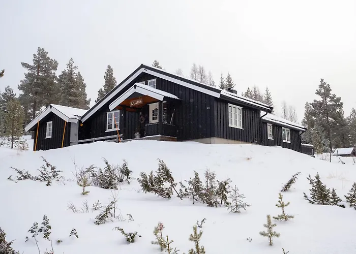 Newly Renovated In Nesfjellet, Nesbyen