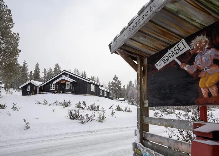 Newly Renovated In Nesfjellet, Nesbyen
